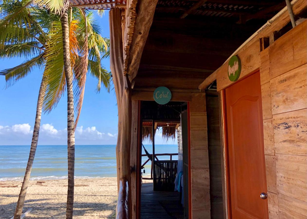 Palmario Hostal Guachaca Eksteriør bilde